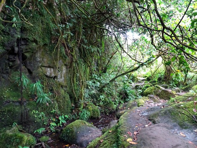 Un des passages les plus rocheux le long d'une petite ravine à sec