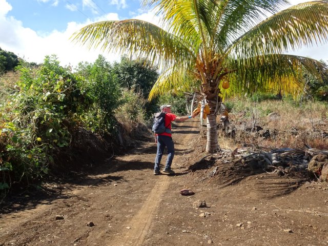 La fin de montée sur piste s'effectue le long des cultures