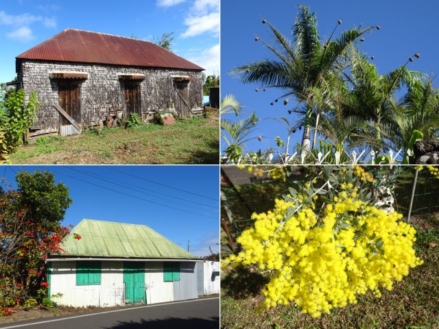 Lors de la traversée, on rencontre de vieilles cases et de beaux jardins