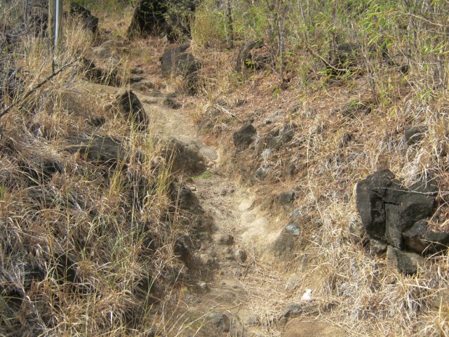 Le sentier rocailleux qui monte en direction de la Route des Tamarins