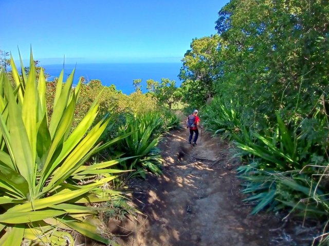Sentier glissant dans les chocas