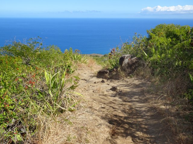 On ne quitte jamais le bleu. On peut guetter les baleines en hiver