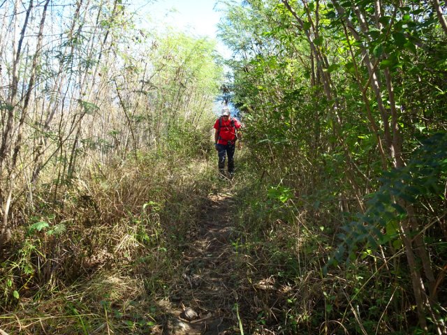 Très peu d'ombre lors de cette montée
