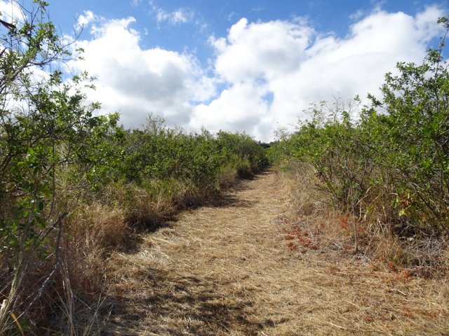 Aussitôt la station de pompage franchie, on marche sur une large piste