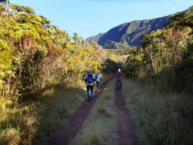 Agréable balade matinale sur la RF3. Toujours partir tôt à Takamaka