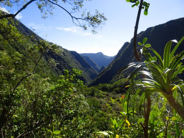 On devine le sentier et l'usine de Takamaka