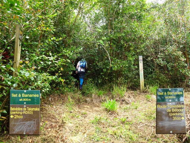 Impossible de manquer le départ du sentier entre les deux poteaux de l'ONF