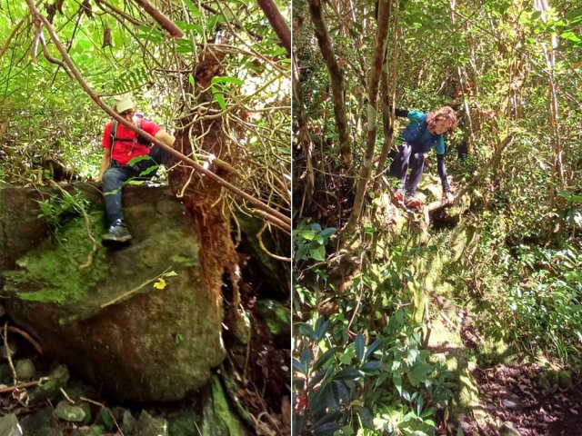 Quelques passages sont plus acrobatiques mais pas insurmontables
