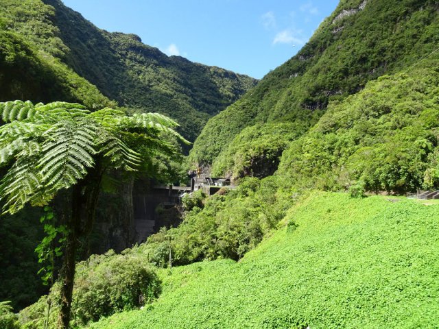 L'immense champ de chouchous avant le barrage