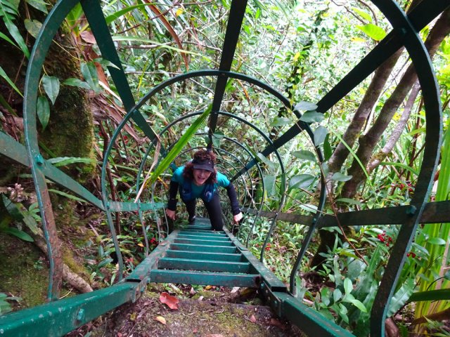 Longue échelle très bien sécurisée