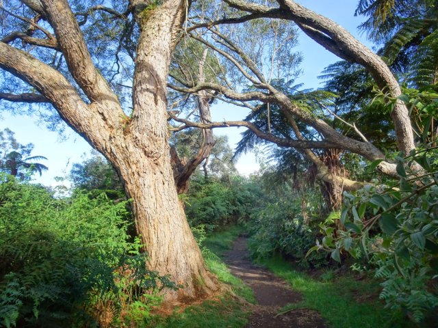 Large sentier qui peut être glissant après la pluie