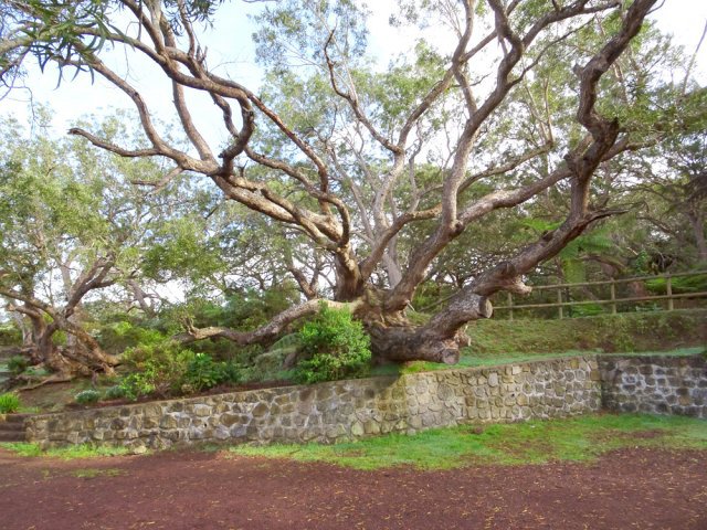 Un des trois parkings proches de l'entrée du parcours