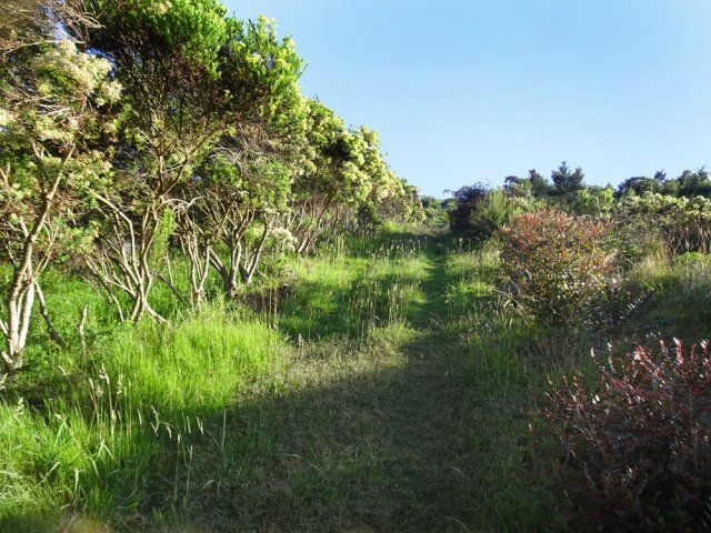 Le large sentier remontant le long des habitations mériterait une tonte régulière