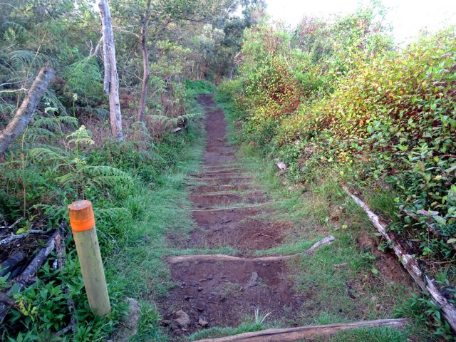 Les pentes sont facilitées par des marches
