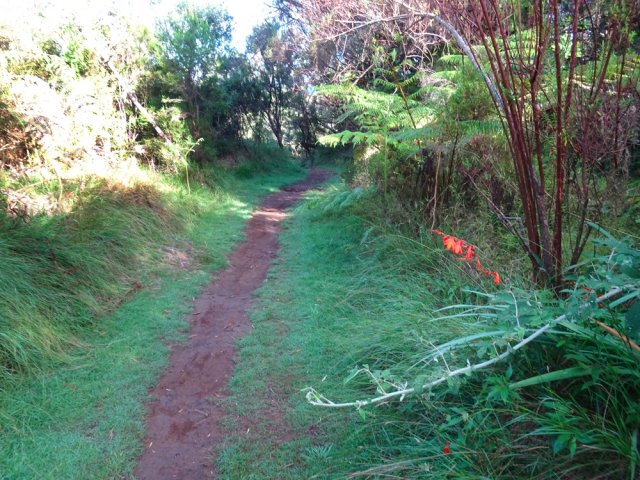 Beaucoup plus de passages sur les autres sentiers