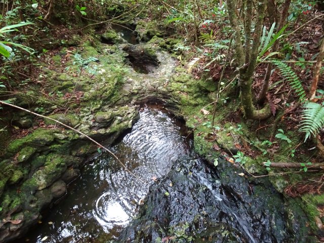 Une des nombreuses ravines traversées durant la montée