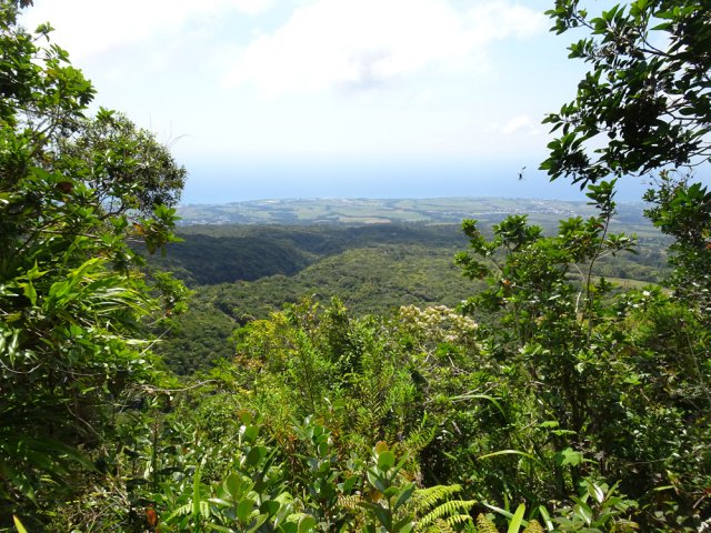 Point de vue depuis le sommet du Piton Charpentier