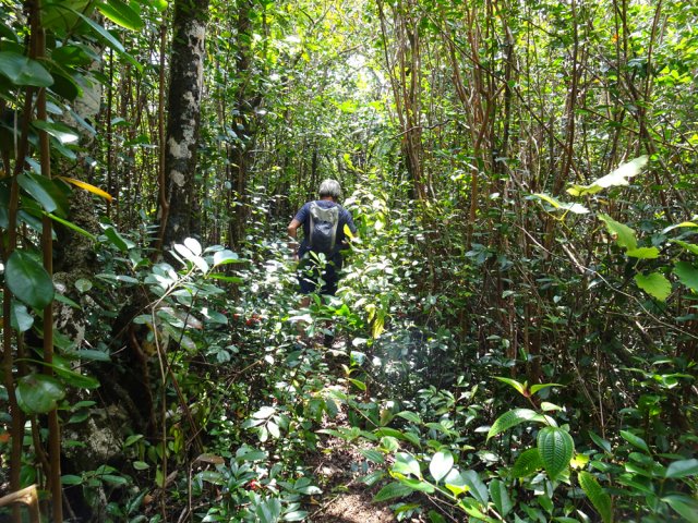 Une idée du sentier de descente