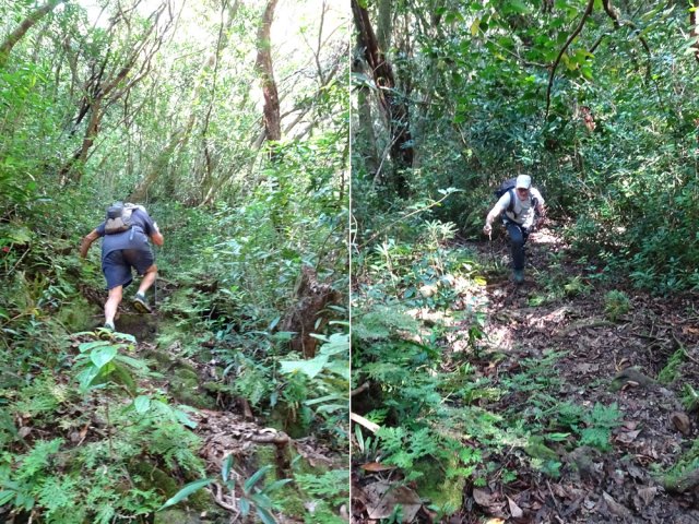 Très forte pente pour atteindre le sentier du Piton Charpentier