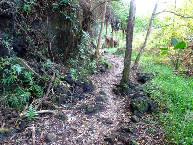 Le sentier rejoignant l'escalier de Fond de Parc