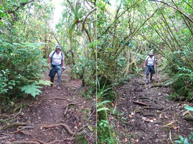 Le sentier peut être boueux sur le plateau