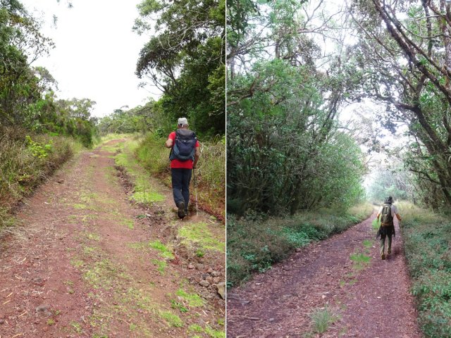 La piste parait interminable