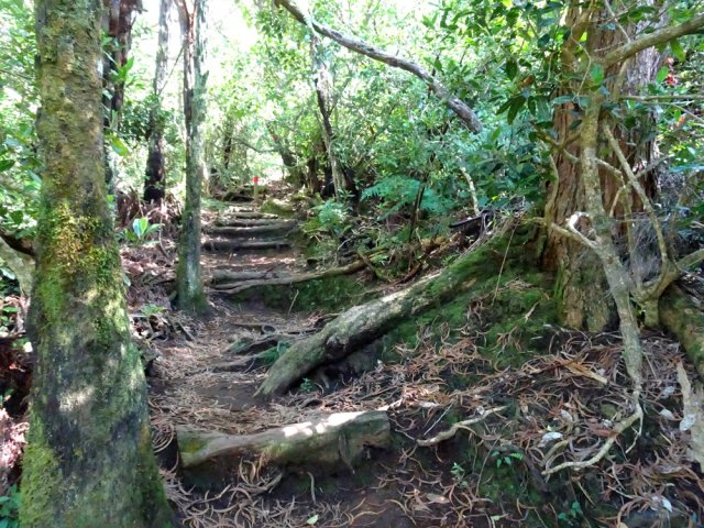 Et toujours des marches pour les parties pentues