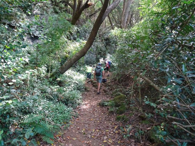 Le sentier très fréquenté vers le Bassin Samuel