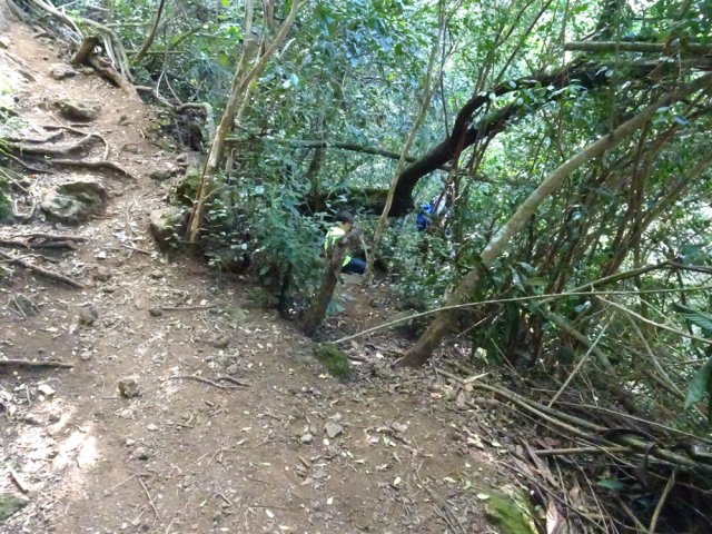 Embranchement discret vers le Bassin Michel