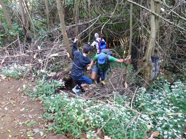 Un des seuls passages pour atteindre la rivière sans se griffer ou glisser
