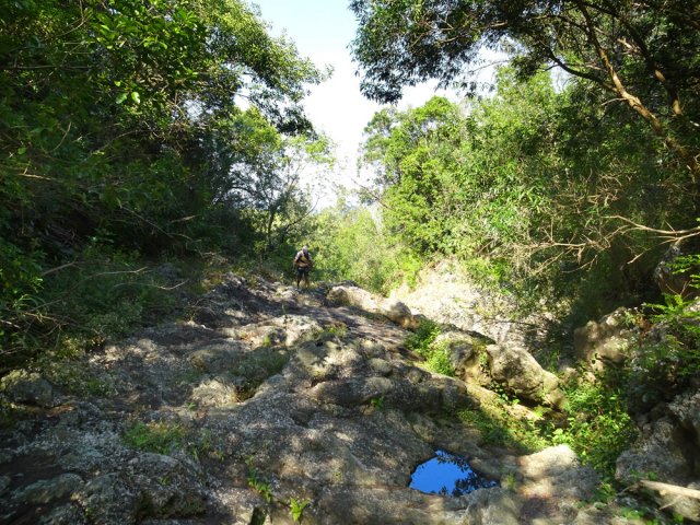 La remontée du Bras Creux est courte même si parfois encombrée de végétation