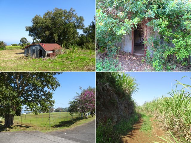 D'autres parties de la descente par les pistes