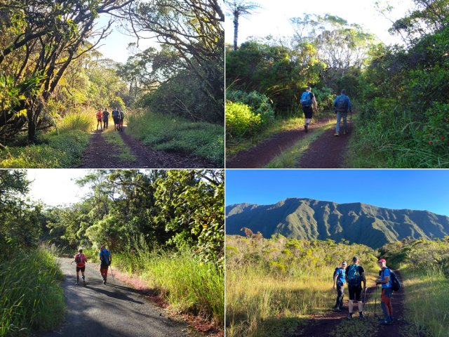 Longue descente de la Route Forestière de Takamaka. Bien profiter de la largeur de la piste !