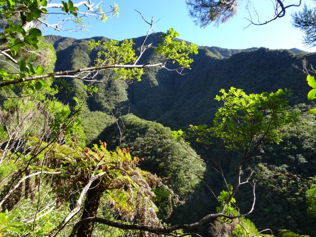 Les points de vue sur le Bras Patience sont rares à cause de la végétation