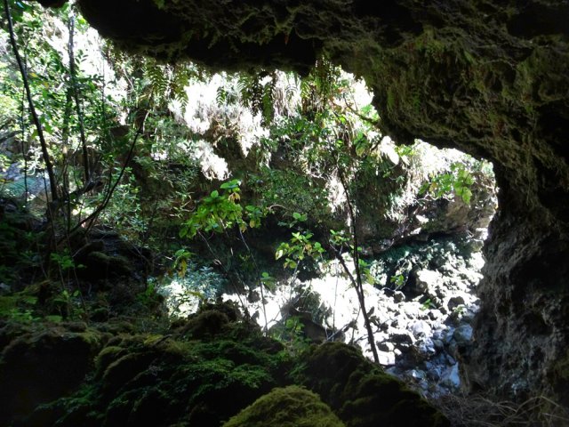 Plusieurs grottes en rive droite dominent le bassin