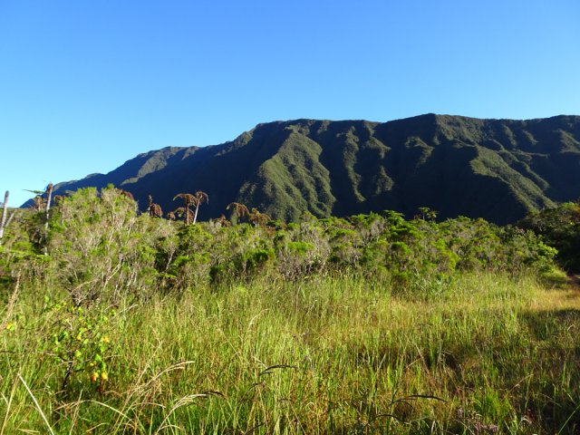 Le massif du Mazerin du côté des sources de la Rivière du Mât