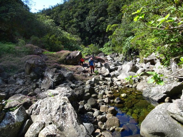 La remontée traverse le même type de paysage