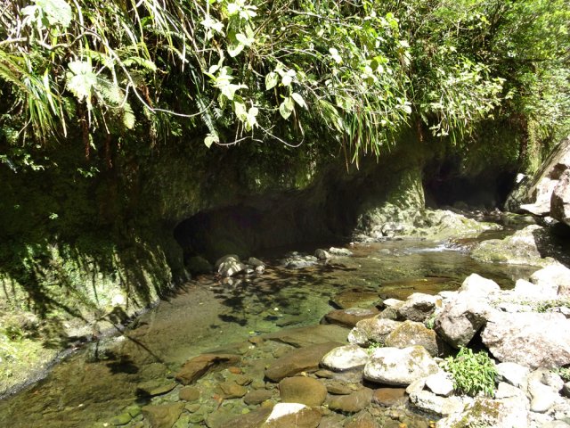 Belles petites grottes creusées par le courant
