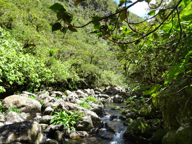 A partir de 1200 m, plus de cascades ou de bassins en vue