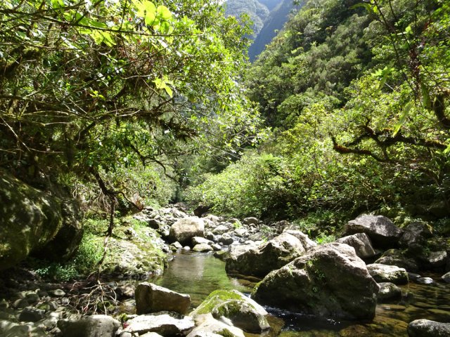 Fin du trajet de la fiche. On peut poursuivre sans difficulté vers Bélouve