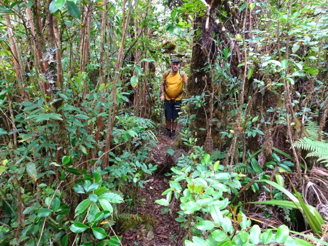 Le sentier vers le rempart est très étroit