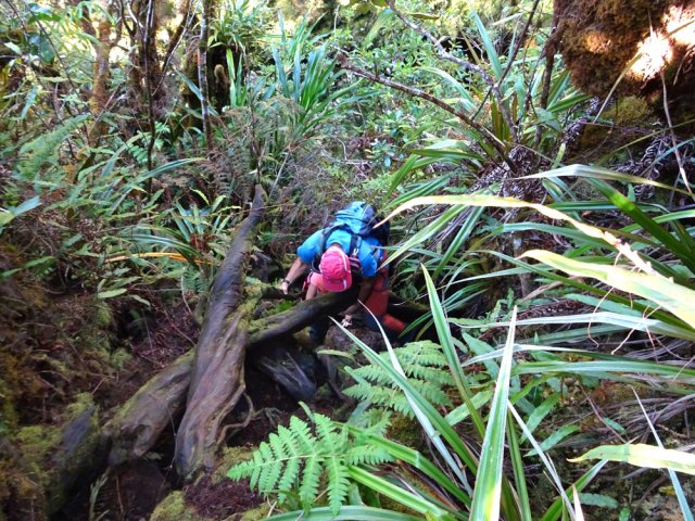 Très rude montée technique après la Ravine Misère