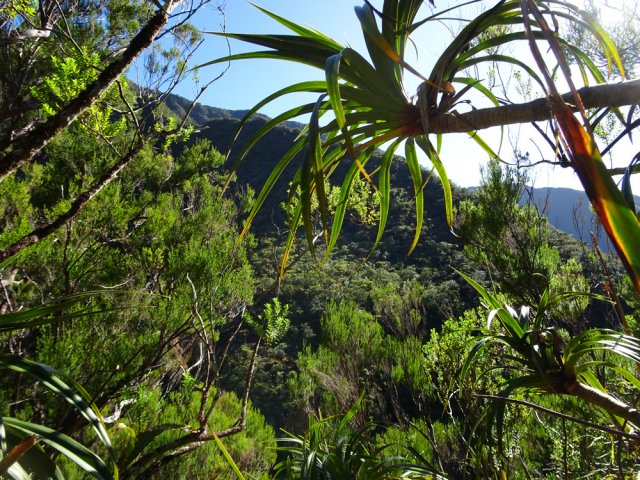 Il faut près de 45 minutes pour rejoindre le rempart