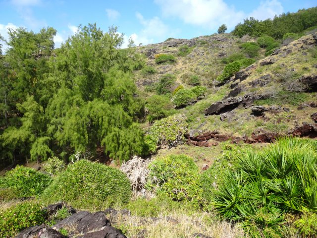 Une idée du paysage de la région des anses