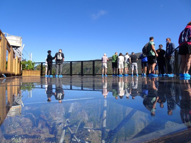 Le parcours vitré est accessible aux fauteuils roulants