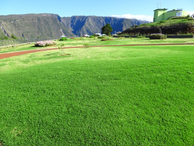 Dernier coup d’œil à la pelouse avant de regagner le parking