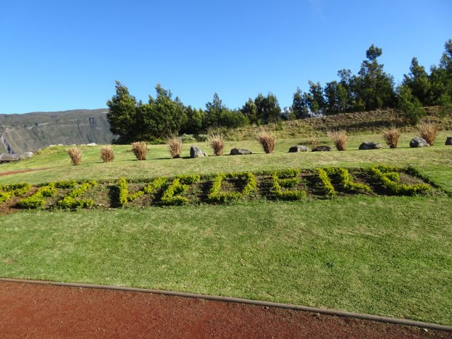 Les pelouses sont encore assez peu fleuries