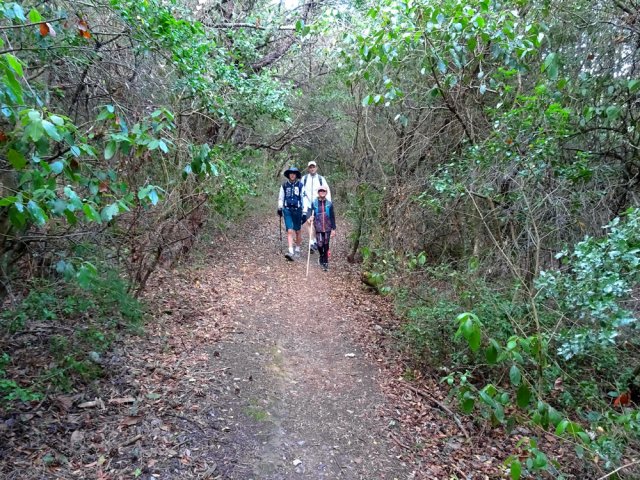 Le sentier ayant remplacé la piste qui mène aux Paillasses