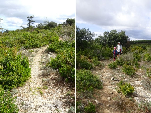Le cheminement est facile dans les garrigues sur un sentier très lisible