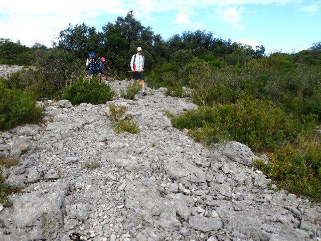 La végétation arrive cependant à subsister